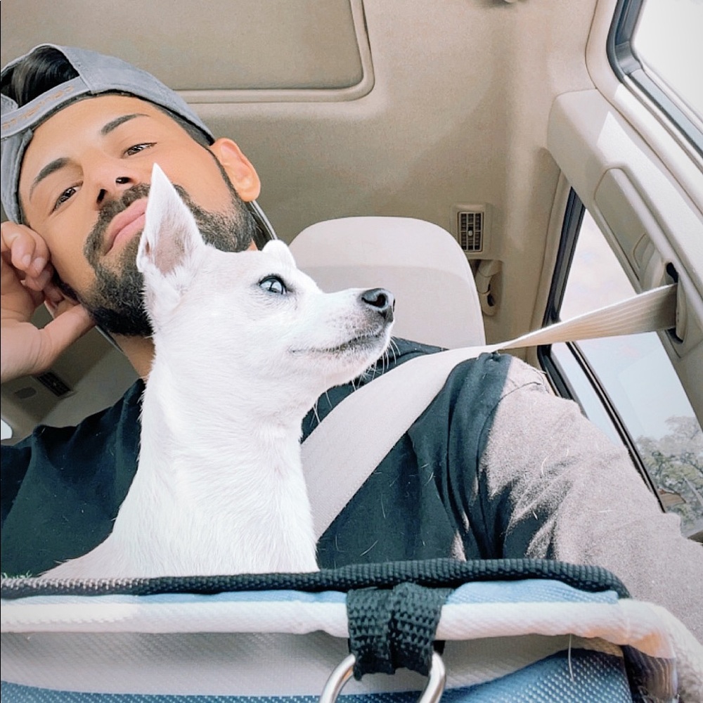 Meet your Posher, Frankie